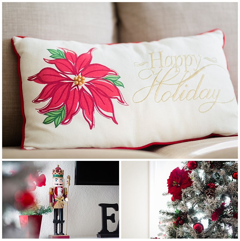 Red and white cardinal and poinsettia christmas